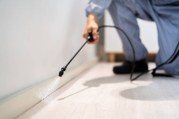 Professional exterminator conducting IPM assessment in Dowagiac