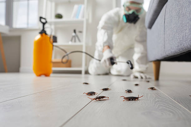 Post-Treatment Bed Bug Interceptor Monitoring in Dowagiac