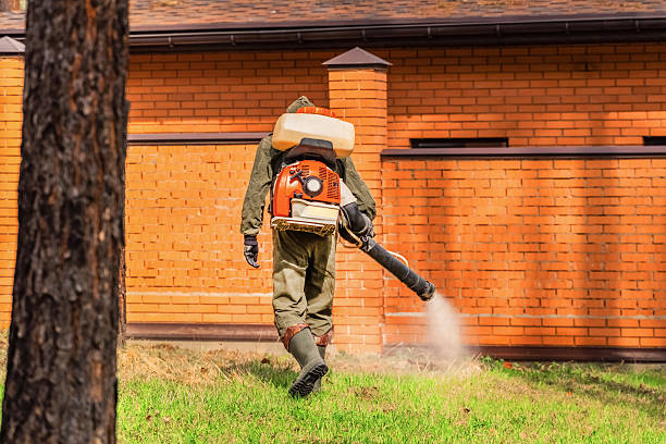 Bed Bug Clearance Verification and Documentation in Dowagiac